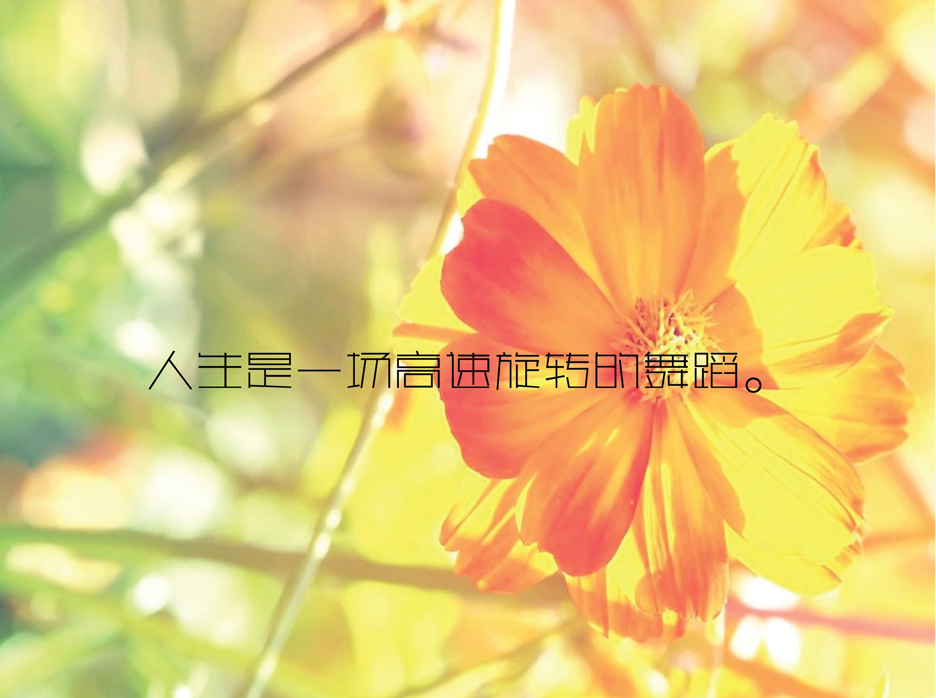 励志书籍